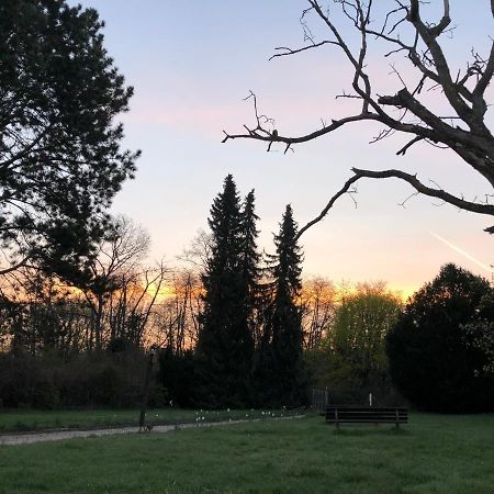 Ferienwohnung Apartment Doppelzimmer In Der Villa Naturpark Rheinblick, Ruhig, Aussicht, Pool Koblenz  Buitenkant foto