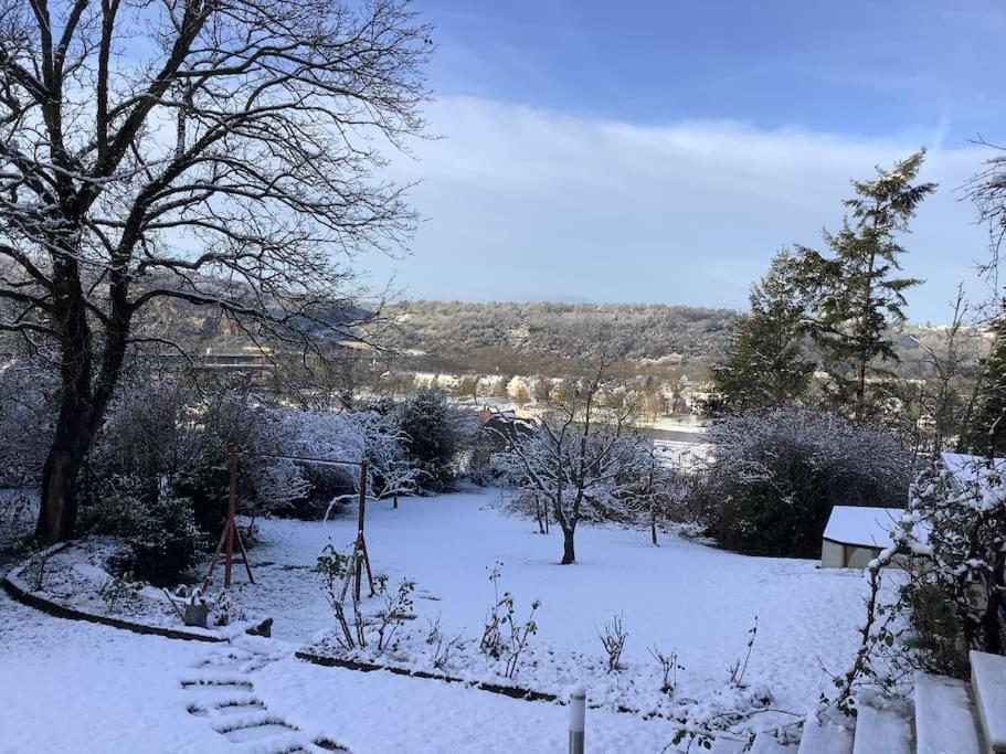 Ferienwohnung Apartment Doppelzimmer In Der Villa Naturpark Rheinblick, Ruhig, Aussicht, Pool Koblenz  Buitenkant foto