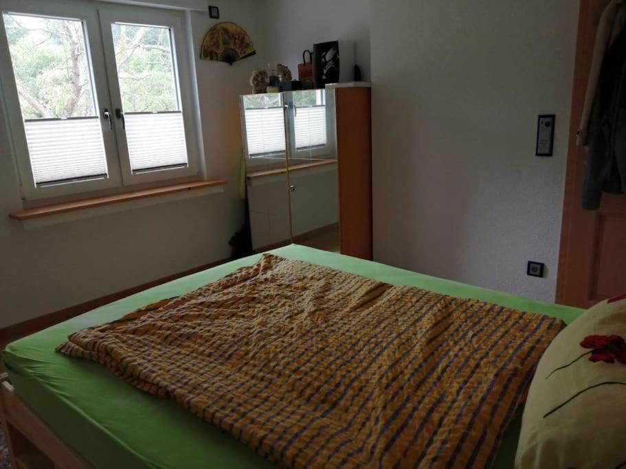 Ferienwohnung Apartment Doppelzimmer In Der Villa Naturpark Rheinblick, Ruhig, Aussicht, Pool Koblenz  Buitenkant foto